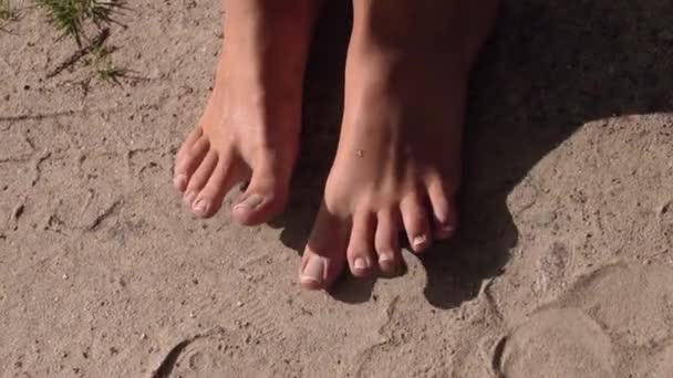 Womens voeten op het zand — Stockvideo