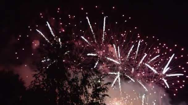 Πυροτεχνήματα εκρήγνυνται στο νυχτερινό ουρανό — Αρχείο Βίντεο