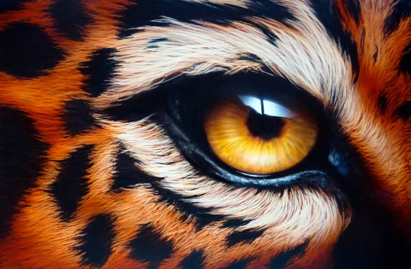 Olho de leopardo. Pintura de aerógrafo. Desenho manual — Fotografia de Stock