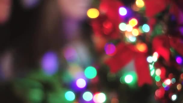 크리스마스를 축 하 하는 자매 — 비디오
