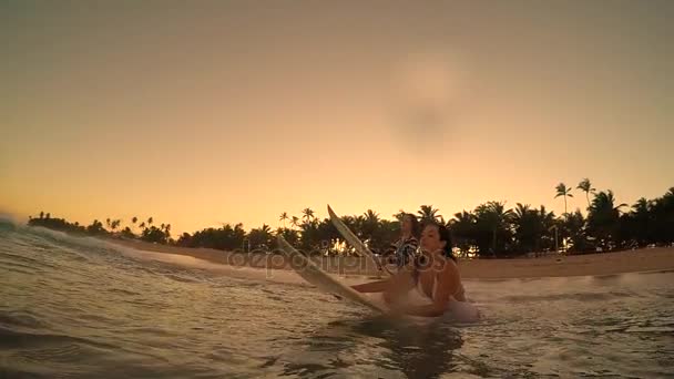 Surf meninas correndo — Vídeo de Stock