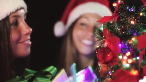 庆祝圣诞节的姐妹 — 图库视频影像