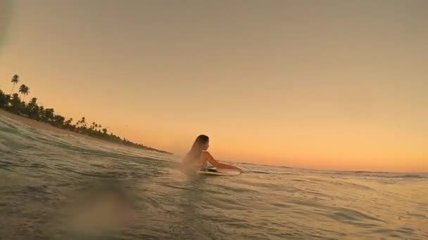 Surf chica con tabla de surf — Vídeo de stock