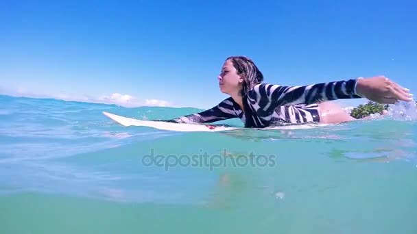 Femae Surfista remando — Vídeo de stock