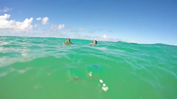 Lányok együtt szörfözés — Stock videók