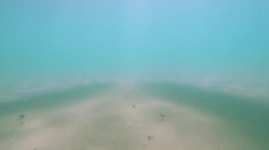 Kızlar sörf sörf tahtaları üzerinde yalan