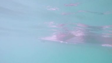 Kızlar sörf sörf tahtaları üzerinde yalan