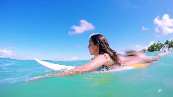 Femae Surfer Paddeln — Stockvideo