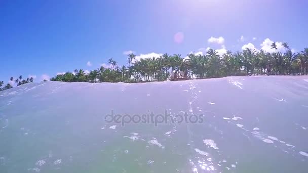 Surfer niñas corriendo a surfear — Vídeos de Stock