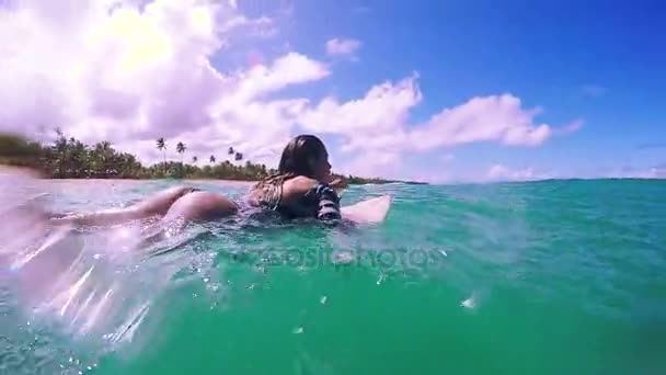 Chicas surfeando juntas — Vídeo de stock