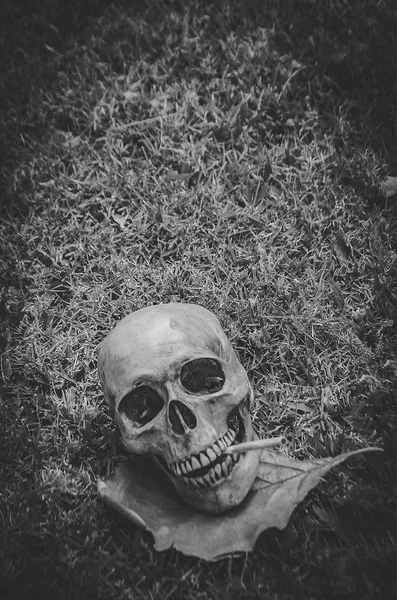 Menschlicher Schädel, der die Zigarette auf dem Gras raucht, schwarzer Vintage-Weißton, Stillleben-Fotografie-Stil. — Stockfoto