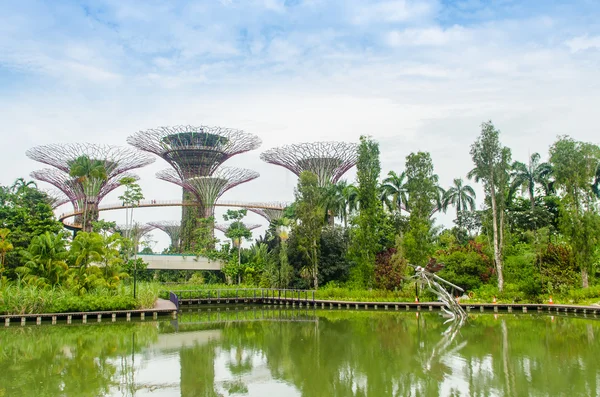 Сингапур, Сингапур - 20 сентября 2014 года: Супер дерево в саду у залива — стоковое фото