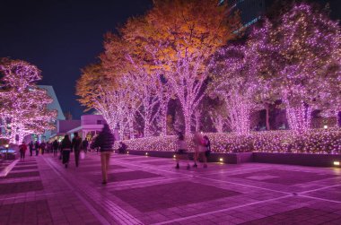 Shinjuku Teras şehir aydınlatma: tokyo, Japan