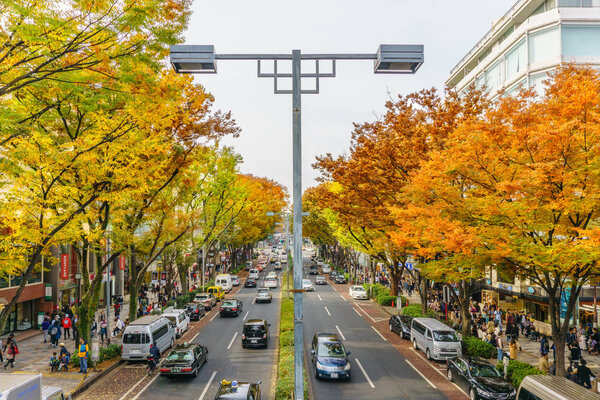 Tokyo, Japan - November 20, 2016 : Crowds walk through a Omote Sando Road. Omote-sando is considered one of most important shopping areas in Tokyo, the largest city in the world.