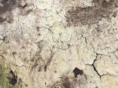 tatlı Kuru toprak