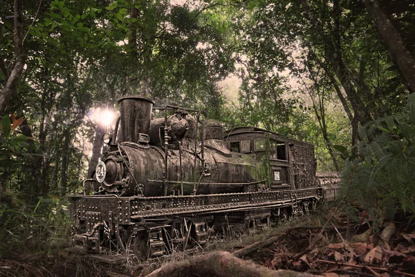 Fotografia Koncepcyjna Zabytkowego Pociągu Lesie Tropikalnym — Zdjęcie stockowe