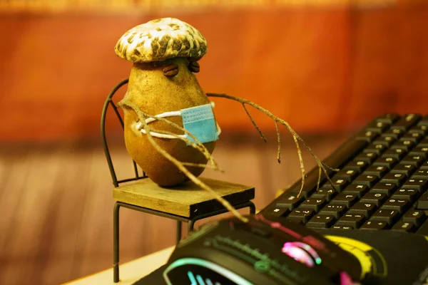 Potato Mask Mushroom Hat Depicting Character Working Computer Keyboard — Stock Photo, Image