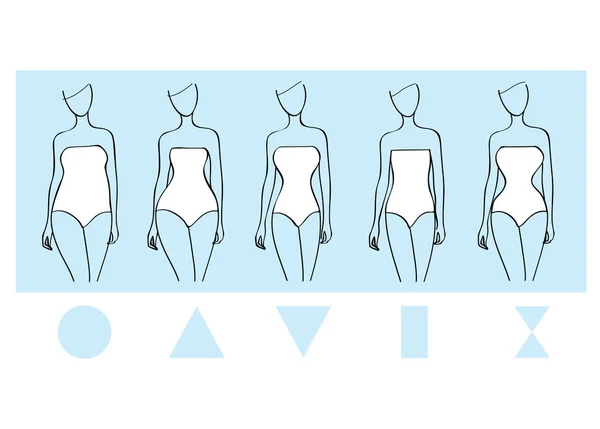 Types de corps féminin. rond, triangle, triangle inversé, rectangle, sablier . — Image vectorielle