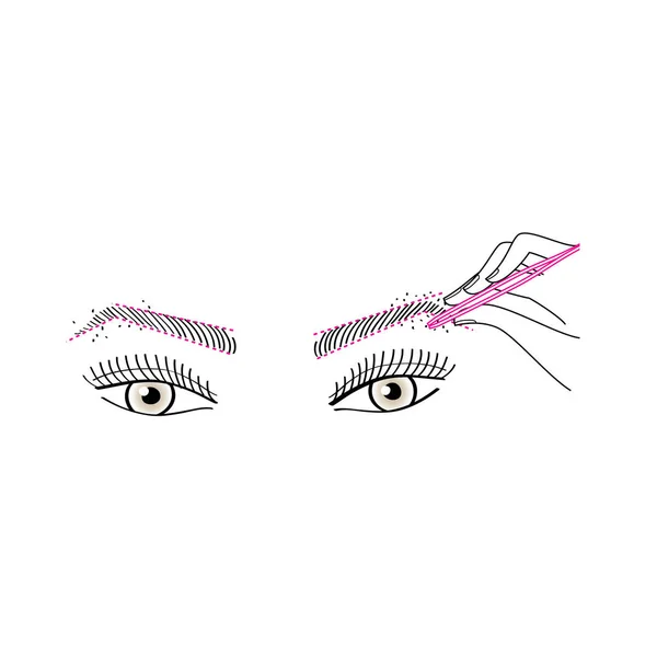 Woman making brow shapes by pencil. — Stock Vector