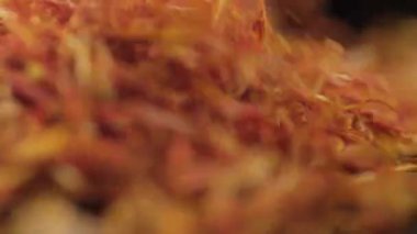 Siyah bir arka plan üzerine düşen safran