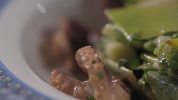 Close-up van groene salade met zeevruchten — Stockvideo