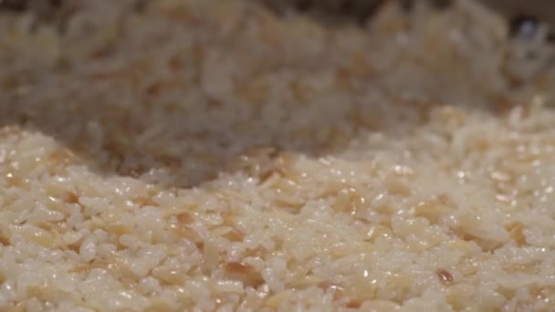 Крупный план риса — стоковое видео