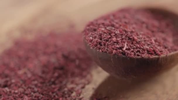 Bir tahta kaşık düşen baharat sumak — Stok video