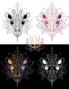 zürafa baş grafik illüstrasyon t-shirt tasarım ve dövme 4 renk 