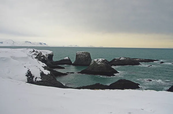 Paisaje Invernal Islandés Roca Volcánica Negra Bajo Nieve Orilla Del — Foto de Stock