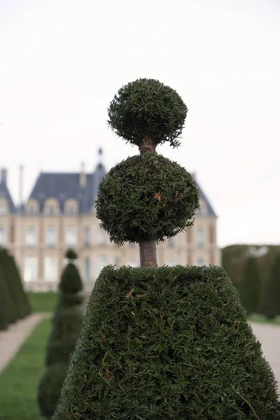 Close Yew Cut Ball Park Castle — Stock Photo, Image