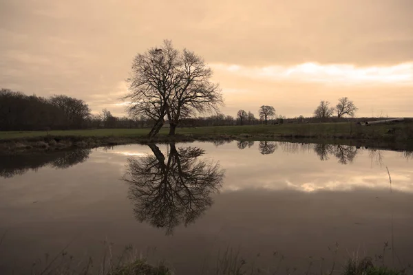 Silhouette Albero Riflessione Lago Campagna Borgogna Inverno — Foto Stock