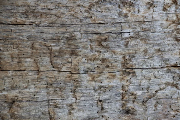 Texture Una Vecchia Tavola Legno — Foto Stock