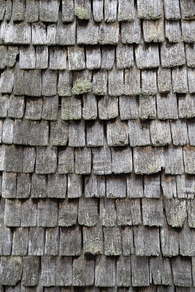 Textuur Van Een Oud Houten Dak — Stockfoto