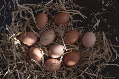 Saman üzerinde tavuk yumurtası yakın plan.