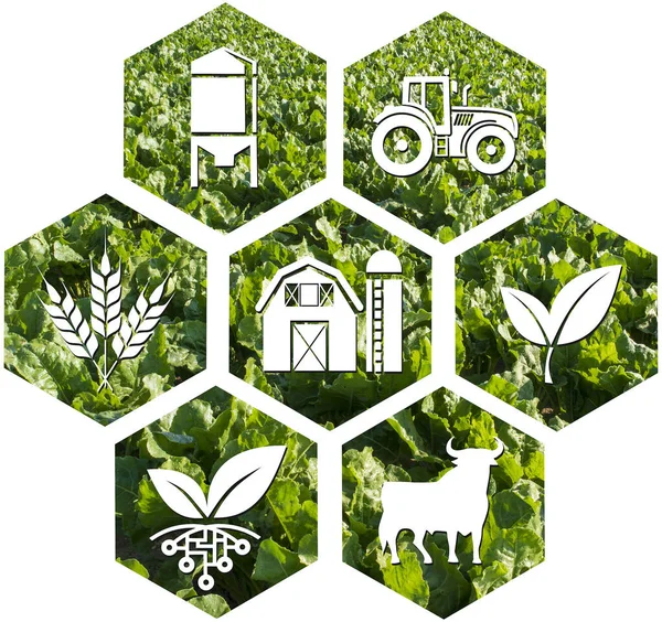  Tarımın çeşitli sembollerinin simgesi