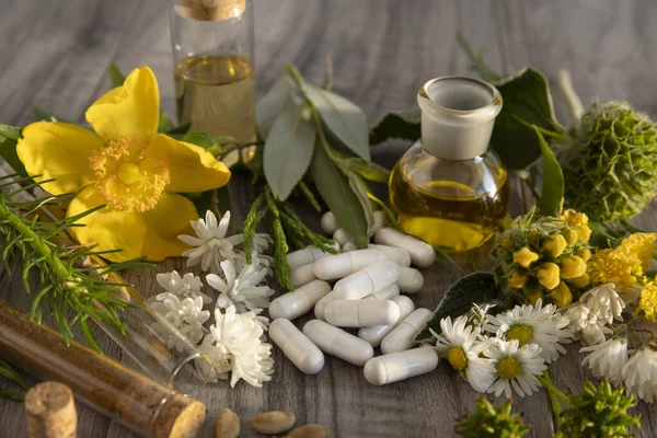 Plantaardige Voorbereiding Voor Zelfgenezing — Stockfoto