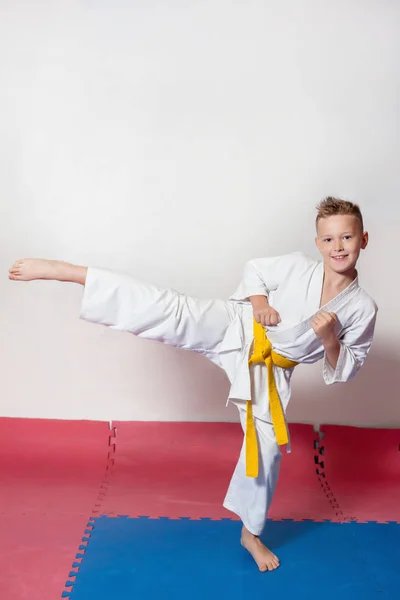 Children during training in karate. Fighting position — Stock Photo, Image