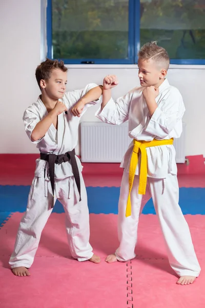 ?hildren demonstrate martial arts working together — Stock Photo, Image
