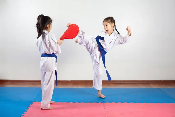 Dua gadis kecil menunjukkan seni bela diri bekerja sama — Stok Foto
