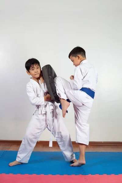 Dois meninos demonstram artes marciais trabalhando juntos — Fotografia de Stock