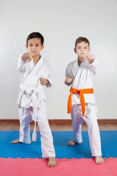 Two boys demonstrate martial arts working together — Stock Photo, Image