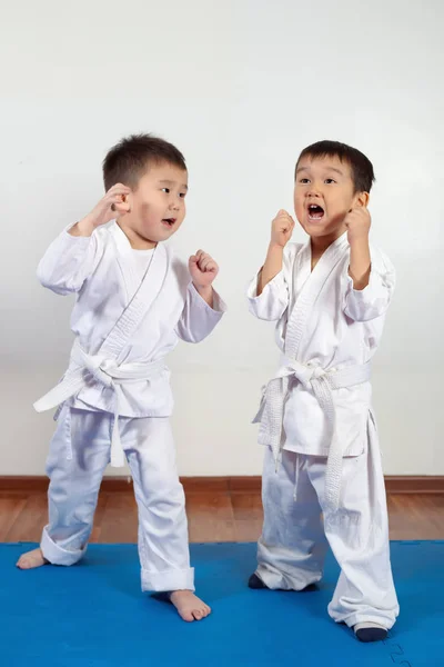 Deux garçons filles démontrent des arts martiaux travaillant ensemble Images De Stock Libres De Droits