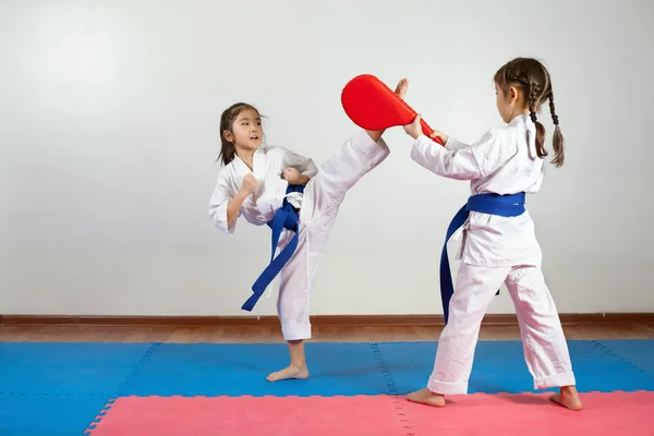 Two little girls demonstrate martial arts working together — Stock Photo, Image
