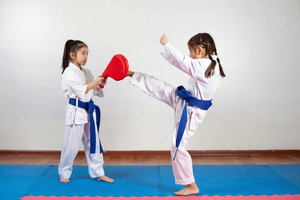 Deux petites filles font preuve d'arts martiaux en travaillant ensemble Images De Stock Libres De Droits