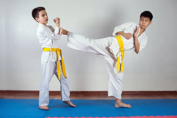 Dois meninos demonstram artes marciais trabalhando juntos — Fotografia de Stock