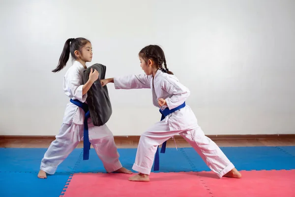 Deux petites filles font preuve d'arts martiaux en travaillant ensemble Photos De Stock Libres De Droits