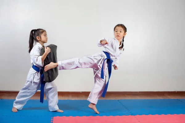 Deux petites filles font preuve d'arts martiaux en travaillant ensemble Image En Vente