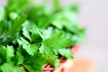 Organik maydanoz yaprakları. Zengin flavonoid ve antioksidanlar, folik asit, vitamin K, C vitamini ve vitamin A. Raw beslenme kaynağıdır. Rustik tarzı. Portre