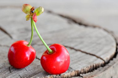 Kopya alanı metin için eski bir ahşap zemin üzerine izole iki kırmızı Olgun Kiraz. Portre