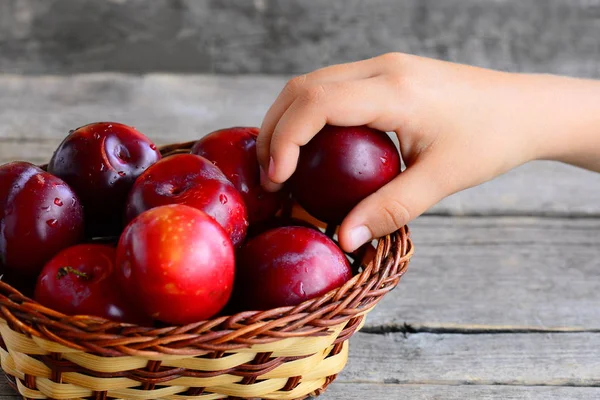 Child takes a plum out of a basket. Fresh juicy plums in a wicker basket on an old wooden table. Healthy eating for kids — Stock Photo, Image